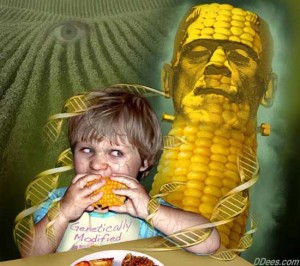 GMO frankencorn is BAD