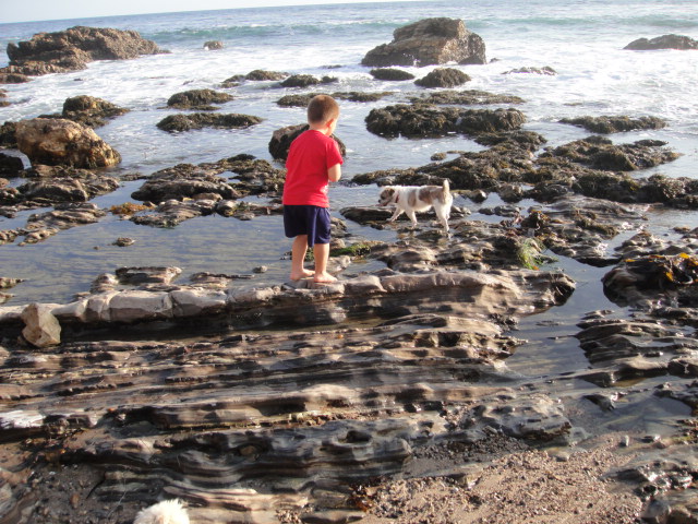 radioactive coast 1