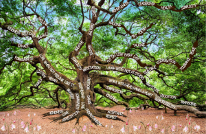 peace tree from seeds of light